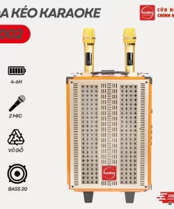 Loa kéo HOZING 8002 kèm 2 micro,bass 20cm, có bánh xe di chuyển hát karaoke hay,BẢO HÀNH 12 THÁNG