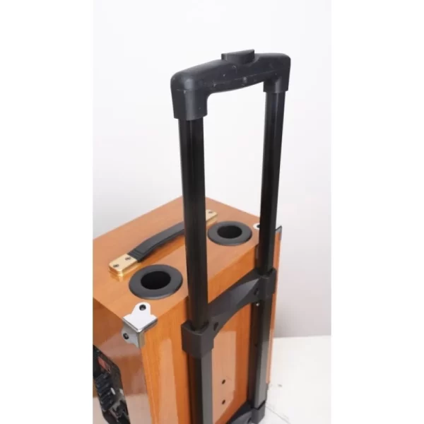 Loa kéo HOZING 8002 kèm 2 micro,bass 20cm, có bánh xe di chuyển hát karaoke hay,BẢO HÀNH 12 THÁNG