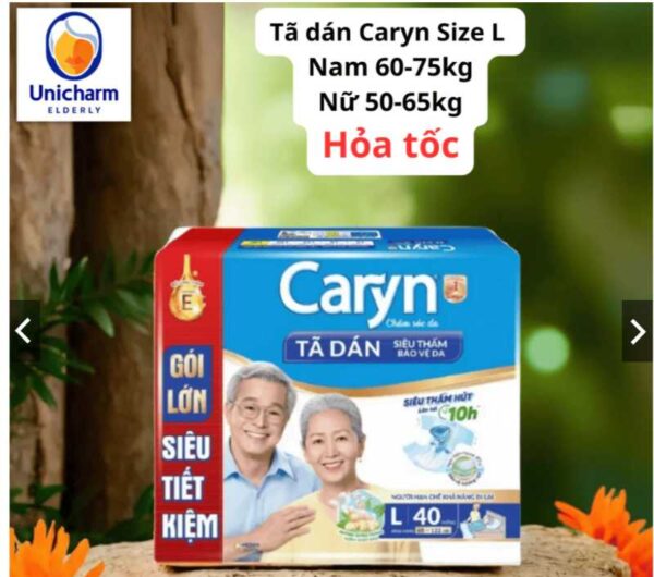 Tã dán người lớn caryn