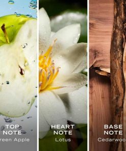 Nautica Voyage Eau De Toilette, Cologne and Fragrance For Men, Fresh, Romantic, Fruity Scent Woody, Aquatic Notes of Apple, Water Lotus, Cedarwood, and Musk Ideal Day Wear, Long Lasting 3.3Fl oz