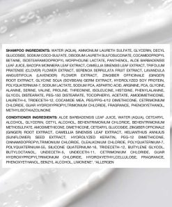 ZENAGEN Revolve Women's Travel Kit | Shampoo + Conditioner for Fine & Visibly Thin Hair, Promotes Thicker Fuller Hair, Plant-Based Formula, Color-Safe, Vegan