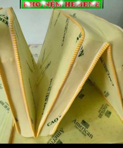 Nệm cao su non American