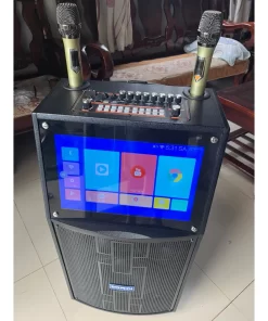 Loa kéo có card âm thanh, màn hình android 12